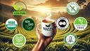 organic-mullein-tea-pyramid-bags-100-count-lung-health-support-respiratory-wellness-pure-ingredients-eco-friendly-packaging-02-81-_dApwZWL._SL1500.jpg