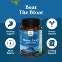 water-away-pills-maximum-strength-for-fast-bloating-relief-high-absorption-magnesium-complex-supplement-04-71xSS3gHpwL._AC_SL1500.jpg