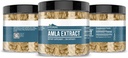 pure-amla-extract-capsules-200-count-undiluted-additive-free-by-earthborn-elements-04-71_IDSL26TL._AC_SL1500.jpg