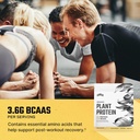 levels-nutrition-organic-plant-protein-powder-20g-protein-no-artificial-ingredients-vanilla-batter-flavor-2lb-container-04-71IFzFZN3oL._AC_SL1500.jpg