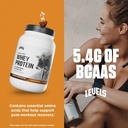 levels-grass-fed-whey-protein-powder-chocolate-peanut-butter-flavor-2lb-24g-protein-no-artificial-ingredients-05-71pi1jU0uoL._AC_SL1500.jpg