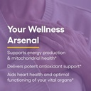 100mg-natural-coenzyme-q10-supplement-for-energy-heart-cognitive-support-120-softgels-by-natural-factors-05-71jQKcZ90PL._AC_SL1500.jpg