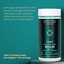 vegan-omega-3-bundle-for-sports-brain-health-30-servings-plant-based-algae-with-epa-dha-fish-oil-alternative-05-81t1WDyqLZL._AC_SL1500.jpg