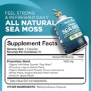 premium-nutrivein-sea-moss-tart-cherry-capsules-bundle-for-digestive-health-daily-wellness-high-quality-supplement-set-03-81vY6cu3giL._AC_SL1500_f5460216-3505-4ae0-8b3b-e5ee4345e166.jpg