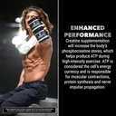 orange-rush-gorilla-mind-pre-workout-with-creatine-enhance-strength-power-output-and-muscle-size-with-100-servings-of-comprehensive-stack-09-710BX8g8iYL._AC_SL1500.jpg