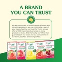 true-citrus-strawberry-lemonade-water-enhancer-drink-mix-30-count-low-calorie-powdered-mix-packets-with-stevia-for-flavorful-water-09-81H718oSlTL._SL1500.jpg