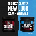 animal-omega-3-6-supplement-with-creatine-chews-fruit-punch-flavor-30-day-pack-05-81R981k2LnL._AC_SL1500.jpg