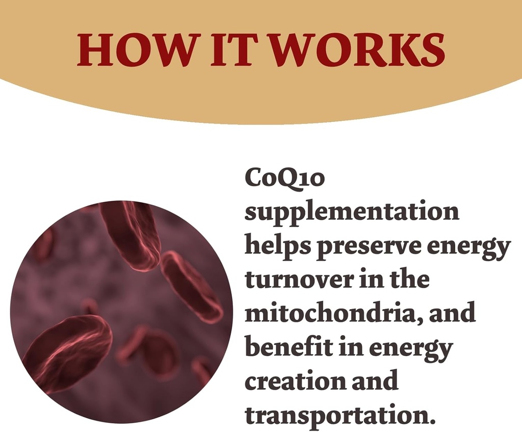 high-absorption-coq10-capsules-300mg-120-count-non-gmo-gluten-free-bumjazz-coenzyme-q10-supplement-04-61bt5oZvCvL._AC_SL1500.jpg
