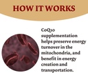 high-absorption-coq10-capsules-300mg-120-count-non-gmo-gluten-free-bumjazz-coenzyme-q10-supplement-04-61bt5oZvCvL._AC_SL1500.jpg