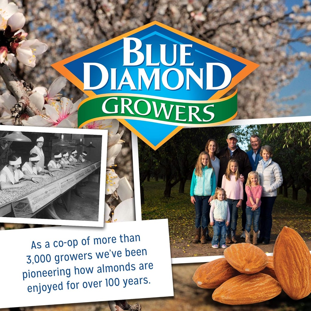 48-oz-blue-diamond-almonds-almond-flour-gluten-free-blanched-finely-sifted-09-91f--94UEdL._SL1500.jpg