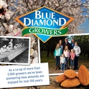 48-oz-blue-diamond-almonds-almond-flour-gluten-free-blanched-finely-sifted-09-91f--94UEdL._SL1500.jpg