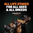 high-protein-premium-dry-dog-food-for-all-ages-bully-max-high-performance-natural-puppy-food-for-small-large-breed-puppies-adult-dogs-15-lb-bag-02-81IahgDJn5L._AC_SL1500.jpg
