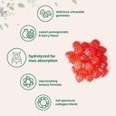 bundle-pack-micro-ingredients-pumpkin-seed-oil-with-saw-palmetto-multi-collagen-peptides-gummies-cold-pressed-pure-virgin-oil-herbal-supplement-type-i-ii-iii-v-x-protein-07-71KJExJbMhL._AC_SL1500_79e2047d-c374-44d9-bd72-eba68a76e2af.jpg