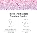 bio-botanical-research-biocidin-proflora-4r-spore-probiotic-gut-health-probiotics-with-bacillus-strains-organic-aloe-digestive-support-for-men-women-30-vegan-capsules-03-81BoihPYTHL._AC_SL1500.jpg
