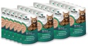 Nulo Freestyle Wet Cat Food 24 Pack: High-Protein Mousse for Kittens to Senior Cats
