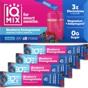 IQBAR IQMIX Electrolyte Powder Packets - Sugar Free Hydration Supplement with Keto Electrolytes, Lions Mane, Magnesium, and Potassium - Blueberry Pomegranate Flavor (20 Pack)